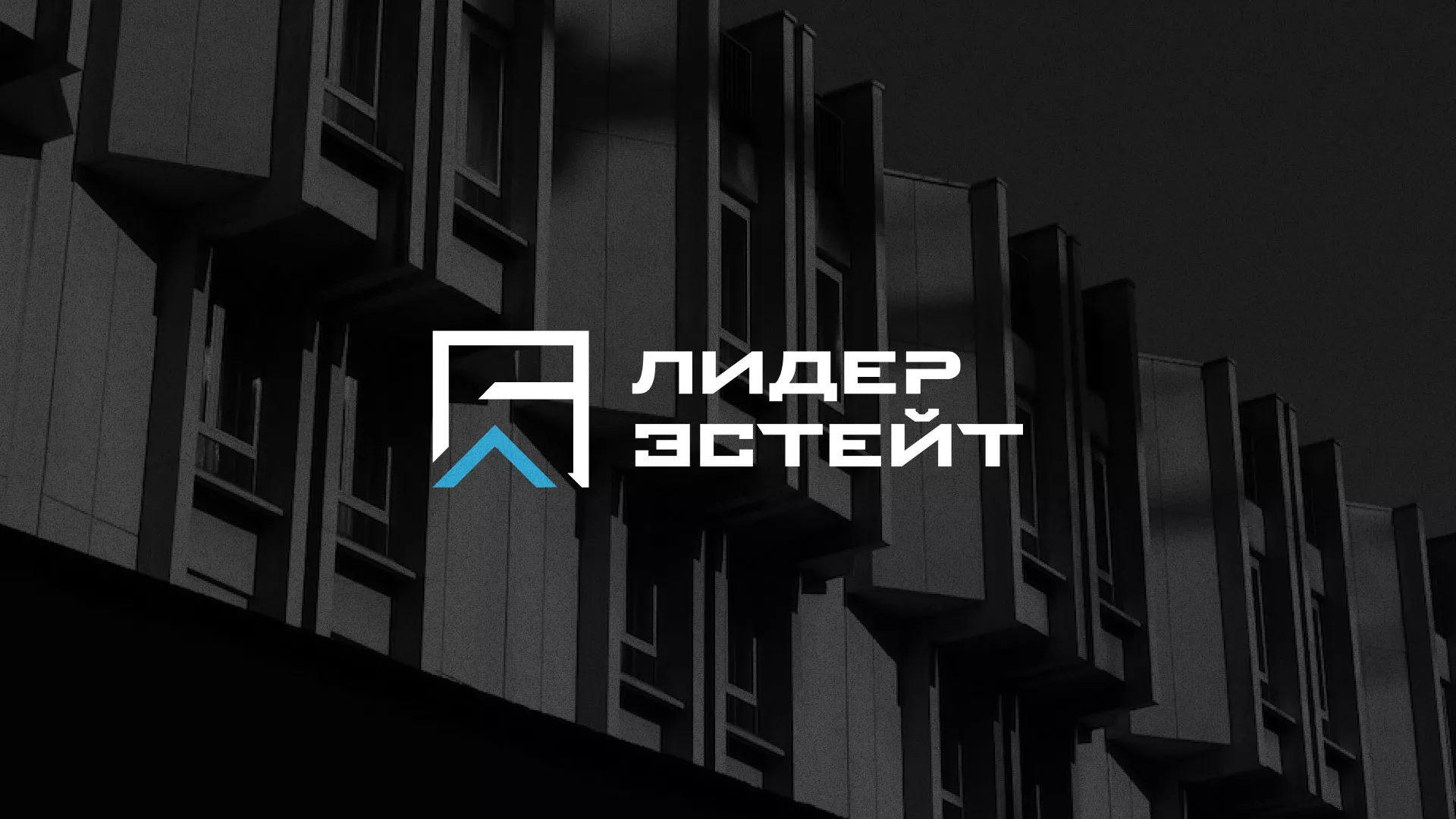 Разработка логотипа агентства недвижимости «Лидер Эстейт» в Ижевске